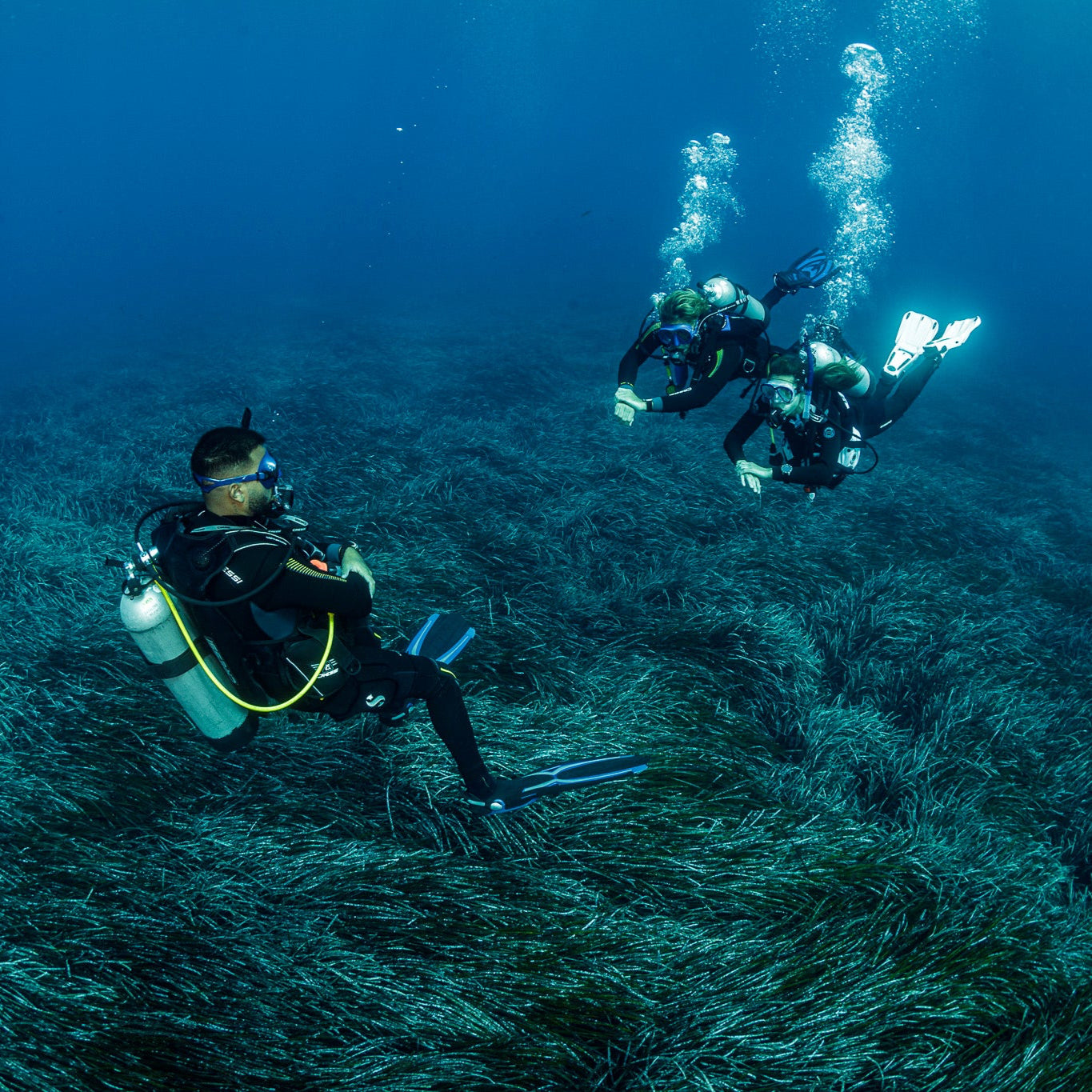 PADI Open Water Diver Course (from Chania)