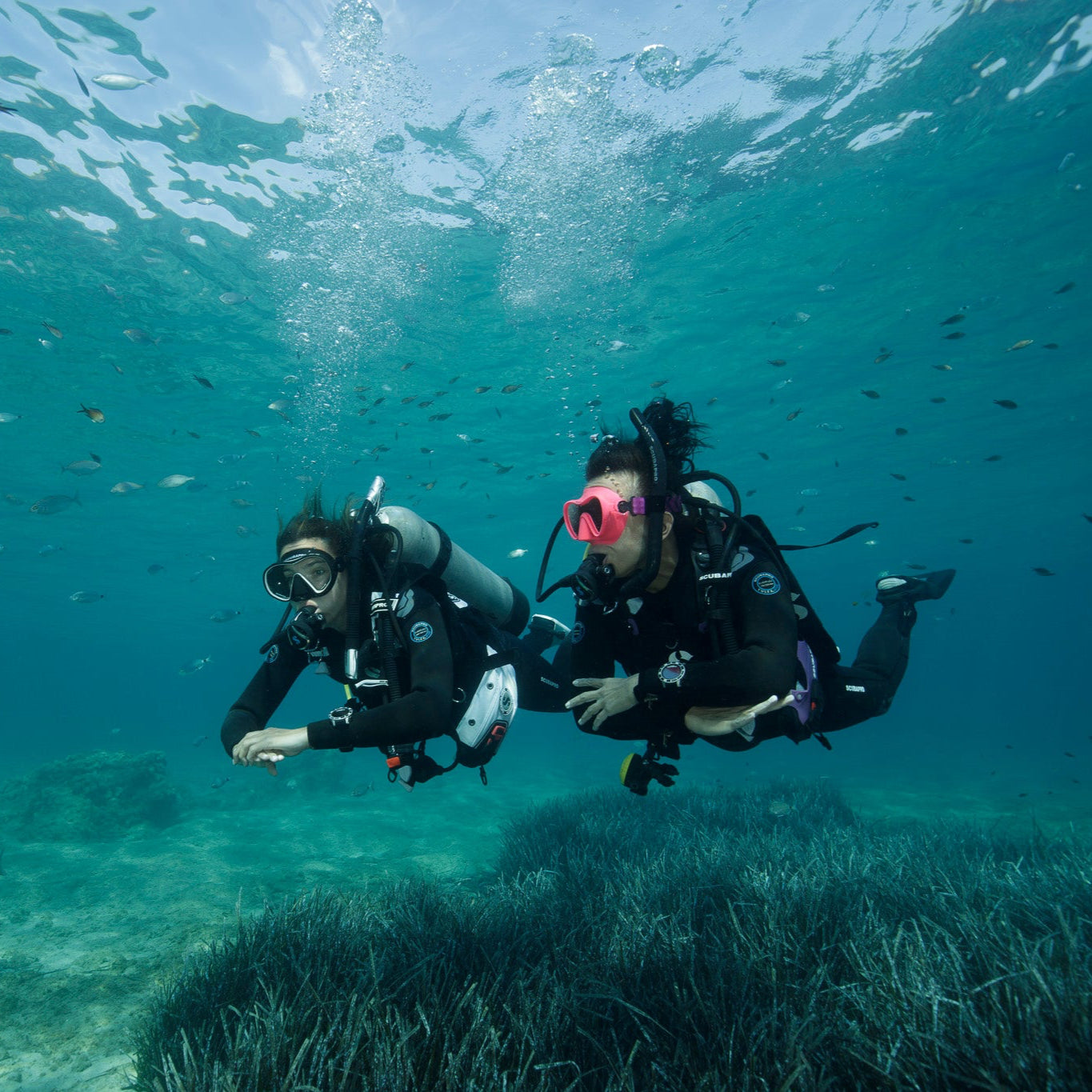 CHANIA - PADI Discover Scuba Diving (from Chania)